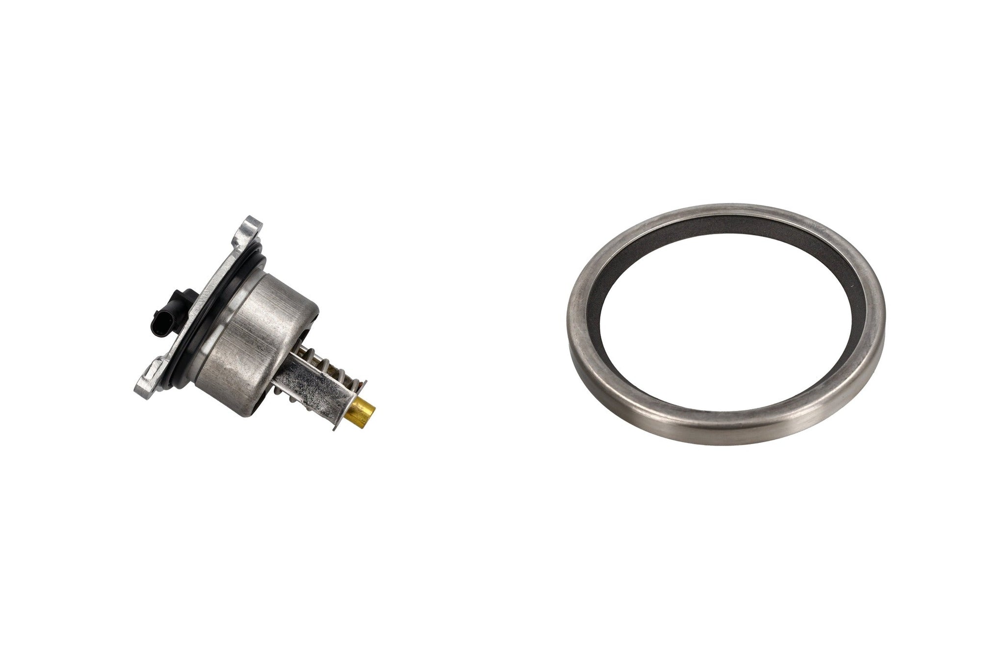 Thermostat & Gehäuse 718