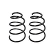 Front Coil Spring Set - Set of 2 - Porsche Boxster/Cayman