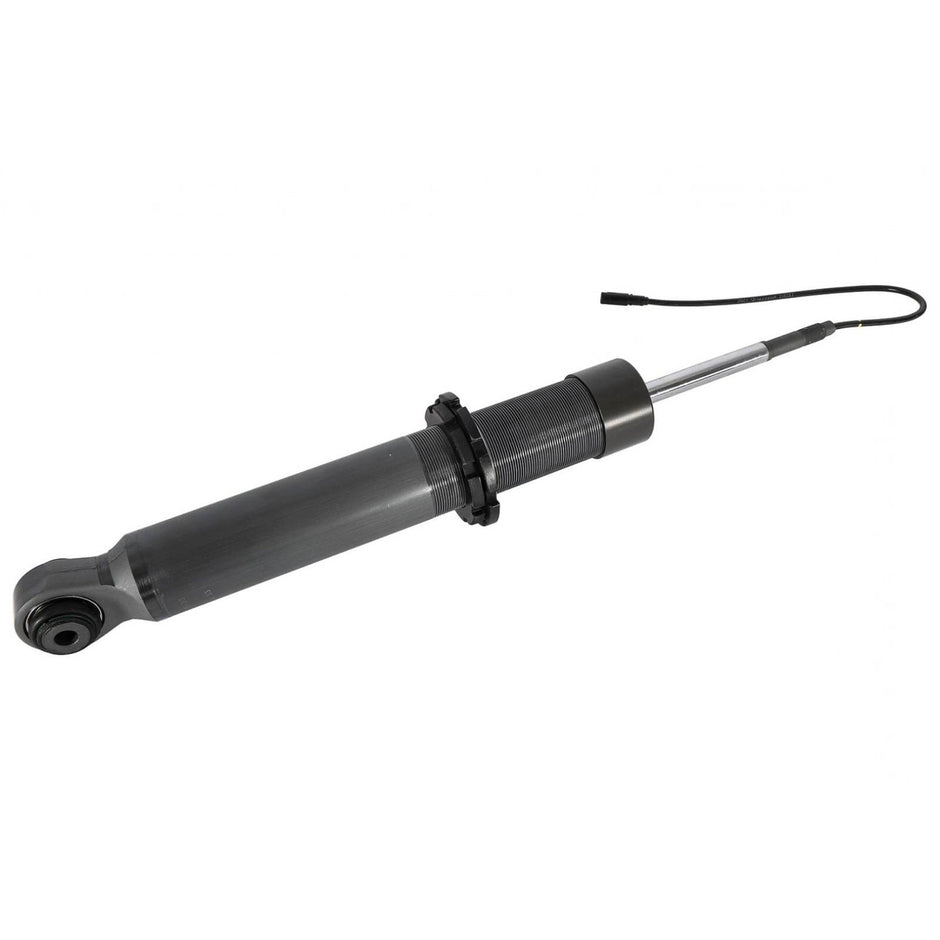 Rear shock absorbers with PASM. Porsche 991.2 GT2 RS / GT3 2018-19