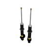 Stoßdämpfer hinten, 2er-Set. Porsche 996 C2/C4 Standardfahrgestell 99633305185