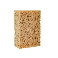 Waschschwamm