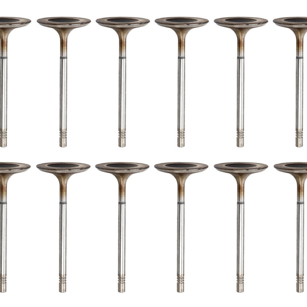 Intake Valve Set for Cylinder Head. Porsche 987 / 981 / 997.2 / 991.1