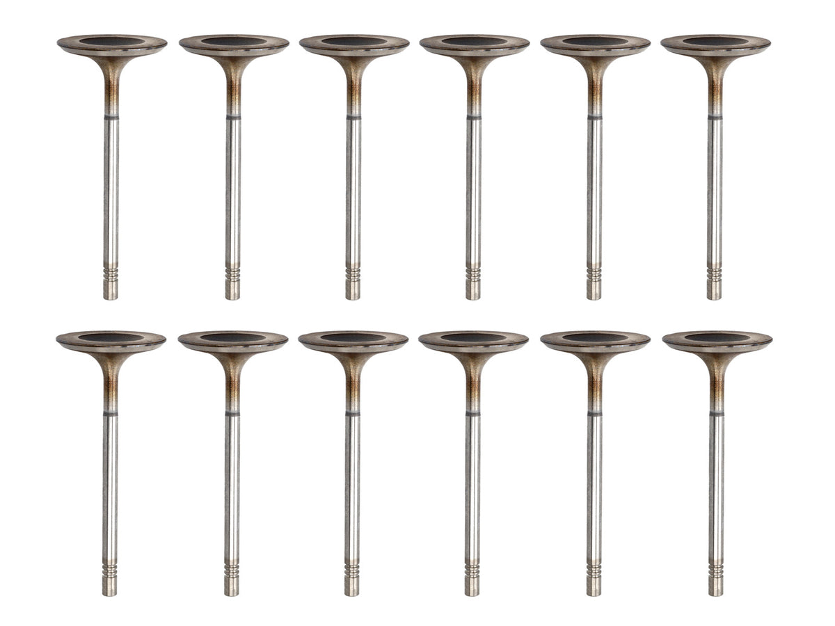 Intake Valve Kit for Cylinder Head. Porsche 981 Boxster Spyder / 981 Cayman GT4 / 997.2 / 991.1 - OEM / Original Equipment Quality