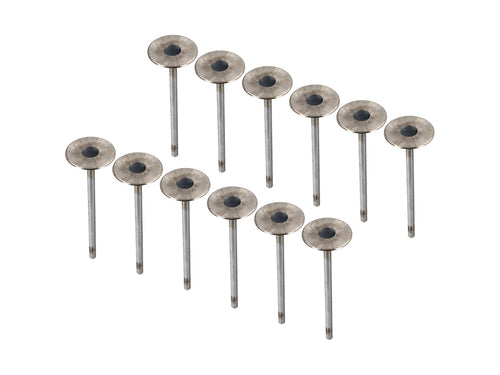 Exhaust valve set for cylinder head. Porsche 987.2 / 981 / 997.2 / 991.1