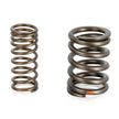 Valve spring set. Porsche 924