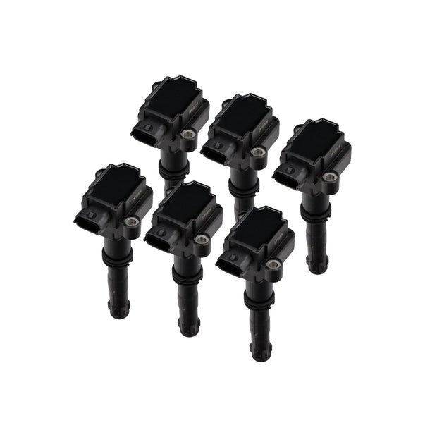 Zündspulen, 6er-Pack. Porsche 996 3.4L / Boxster 986>>03, Artikelnummer 99760210704