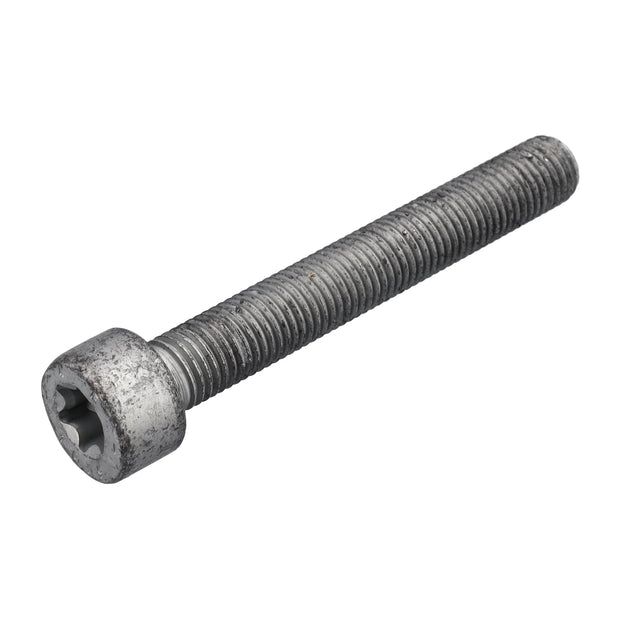 Bremssattelschraube hinten
