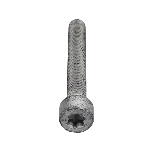 Bremssattelschraube hinten