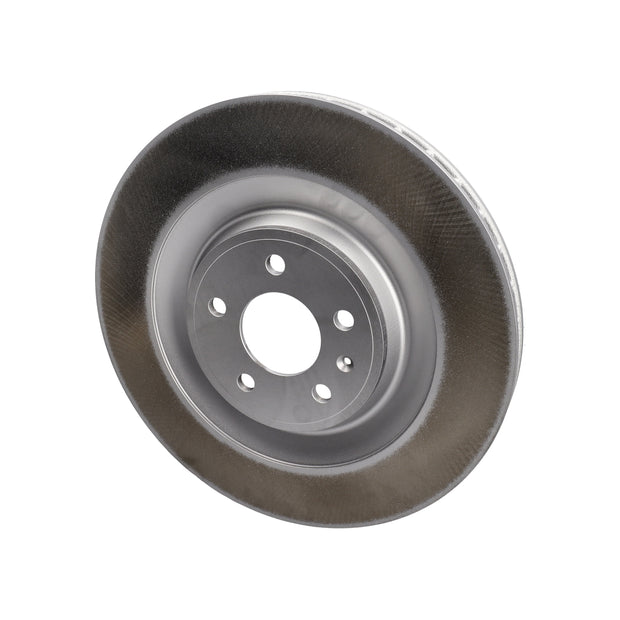 SHW Bremsscheibe hinten, 356 mm, glatt